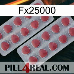 Fx25000 19